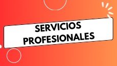 Servicios Profesionales